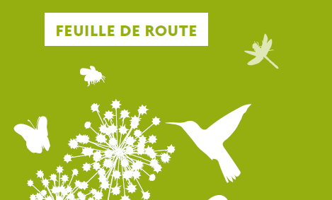 Feuille de route Biodiversité